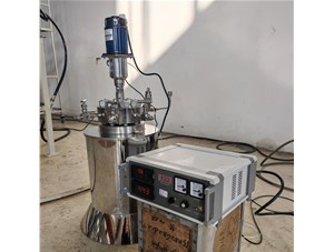 0.5L高溫高壓不銹鋼電加熱反應(yīng)釜已完工發(fā)往捷克
